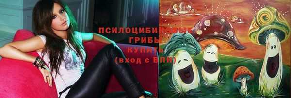 бошки Алексин