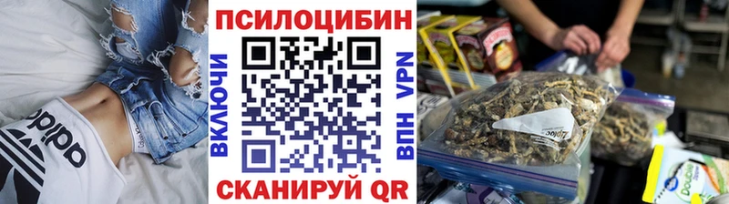 Галлюциногенные грибы Magic Shrooms  Купить где  Богданович 